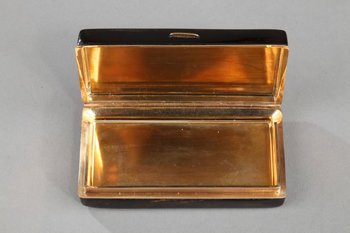 Gold-Lined, Tortoiseshell Micromosaic Snuff Box | MasterArt